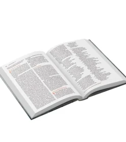 Bibelen på Hverdagsdansk. Hardback, Torne