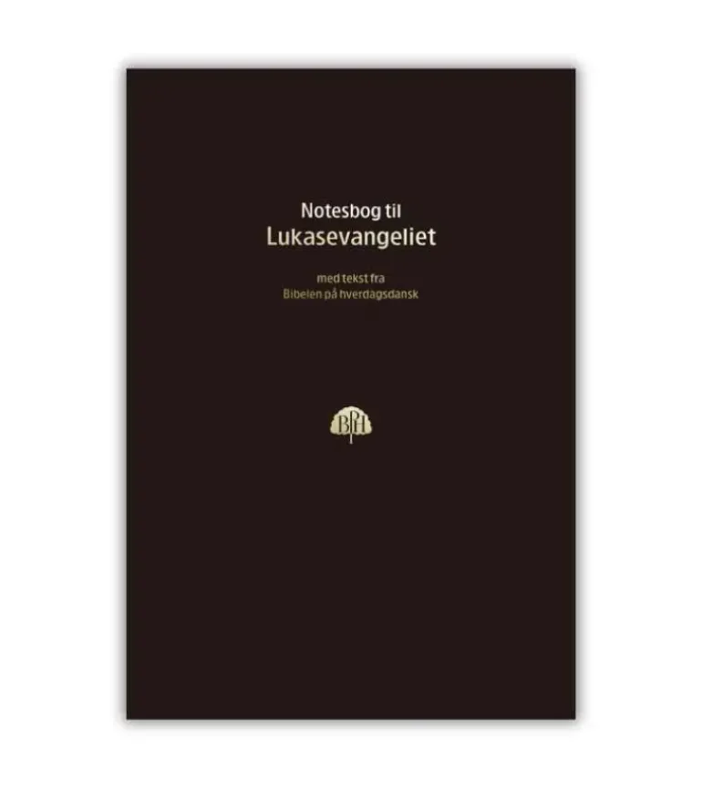 Bibelnotesbog, Lukasevangeliet