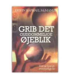 Grib det guddommelige øjeblik