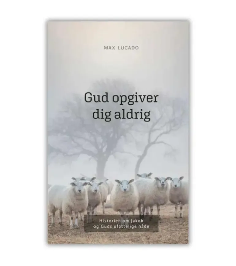 Gud opgiver dig aldrig af Max Lucado