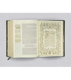 Holy Bible, Illuminated Bible, Art Journaling Edition