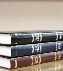 Holy Bible, New King James Version, Burgundy