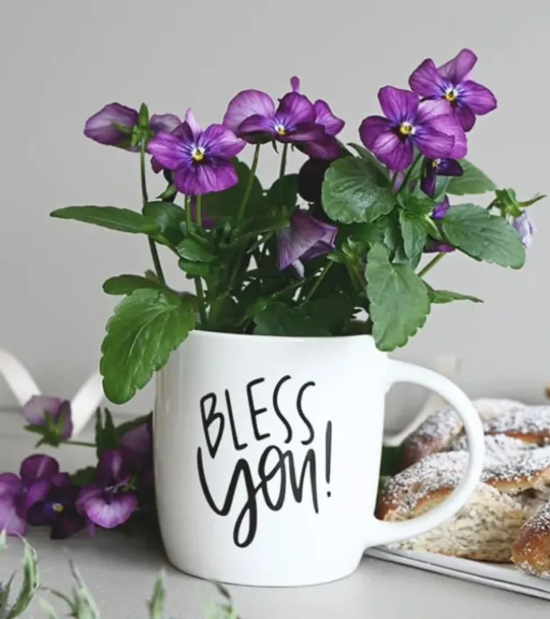 Krus: Bless You