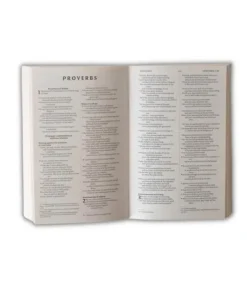 NIV Holy Bible, paperbag