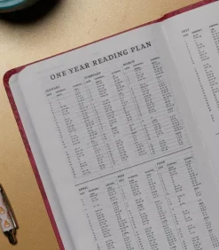 NKJV, Value Thinline Bible, Pink Leathersoft