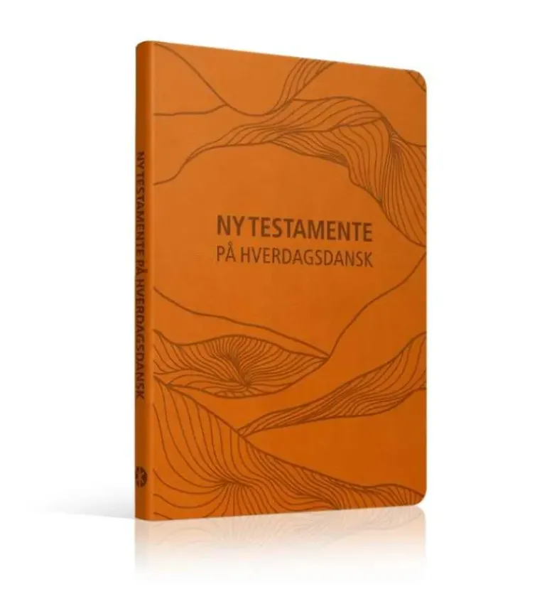 Ny Testamente på hverdagsdansk, kunstlæder