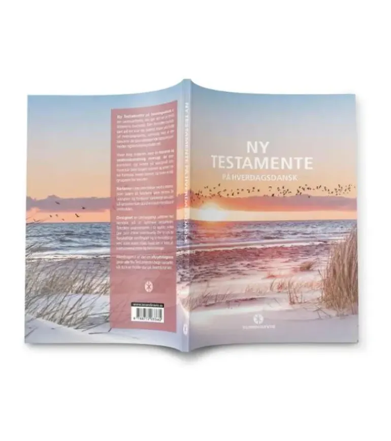 Ny Testamente på hverdagsdansk, strand