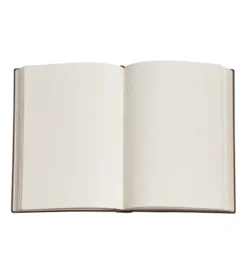 Paperblanks, Milan Cathedral, Midi, Linjeret
