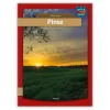 Pinse