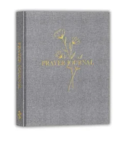 Prayer Journal, Grå
