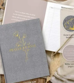 Prayer Journal, Grå