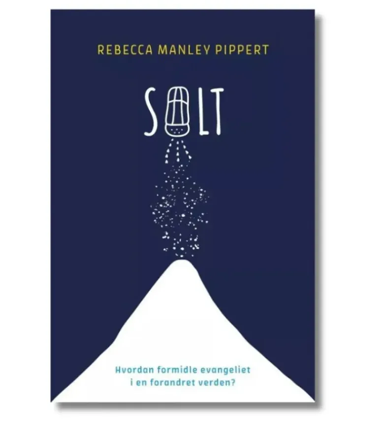 Salt af Rebecca Manley Pippert
