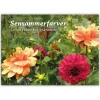 Sensommerfarver – Livsstykker for grånende