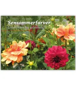Sensommerfarver – Livsstykker for grånende