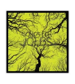 Songs for Joebs – CD