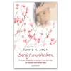 Særligt sensitive børn