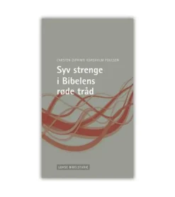 Syv strenge i Bibelens røde tråd af Sprint Aagaard Korsholm