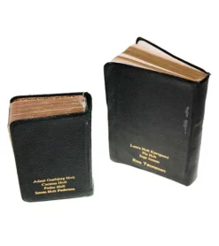 Tryk på EGEN/GAMMEL salmebog eller bibel